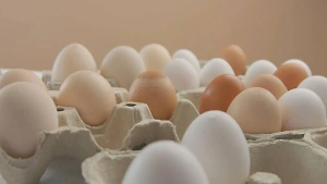 В Минсельхозе рассказали, когда снизятся цены на яйца