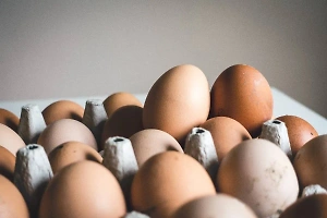 Поставки белорусских яиц в Россию выросли вдвое за год