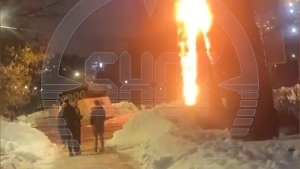 Ёлка — огонь: Гирлянда сожгла новогоднюю ель в Подмосковье