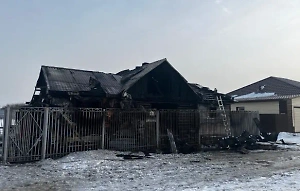 Пожар из-за гирлянды в Омске унёс жизни годовалых мальчиков-близнецов и бабушки