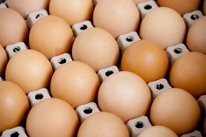 Россиянам объяснили, как они собственноручно спровоцировали подорожание яиц