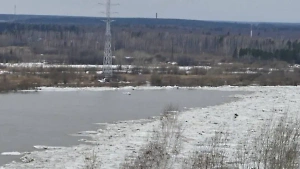 Уровень воды в реке Томь превысил опасную отметку на 14 см возле Томска