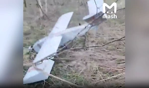 Собачник нашёл в лесу под Тверью упавший в январе дрон ВСУ с 10 кг взрывчатки