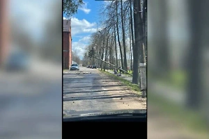 Деревья падают прямо на машины: Есть первые пострадавшие из-за шторма в Центральной России