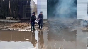 Смышлёные дети с удочками нашли плюсы даже в сильном паводке на Алтае