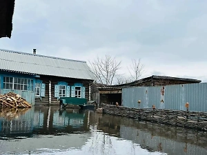 Уровень воды в реке Тобол в Кургане за ночь увеличился на 8 см