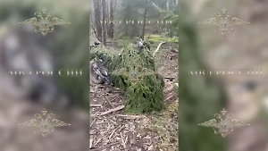 В лесу нашли заваленный ветками мотоцикл расстрелявшего полицейских в Подмосковье