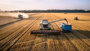 В России вернулись к идее создания зерновой биржи для стран БРИКС