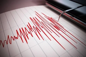 Землетрясение магнитудой 4 зафиксировано у побережья Южных Курил