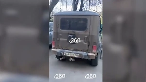 В Москве обнаружили двух псов, живущих в припаркованной машине