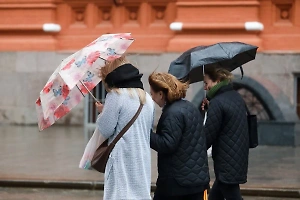 МЧС предупредило москвичей о сильном ветре