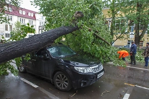 В Москве во время урагана два человека пострадали от падения деревьев 