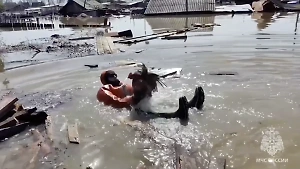 Двоих мужчин и дюжину куриц спасли из затопленного посёлка в Тюменской области