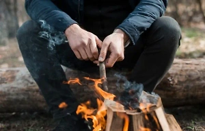 Россиянам посоветовали жарить шашлыки на берёзовых и дубовых дровах