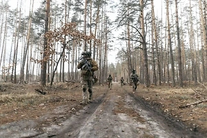 Захарова заявила, что в Швеции фактически подстрекают наёмников воевать на стороне Киева