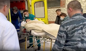 Чибиса в тяжёлом состоянии доставили в больницу в Мурманске на вертолёте