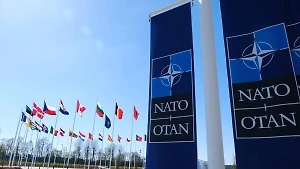 NYT узнала о решении лидеров НАТО не звать Украину в альянс на саммите в июле