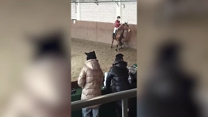 "Абсолютно неприемлемо": Избившую коня в приступе ярости наездницу отстранили от соревнований