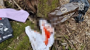 Тело мёртвого ребёнка в пакете нашли в московском парке