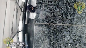 В Приморском океанариуме ребёнок упал в пролёт между этажами с высоты 5 метров