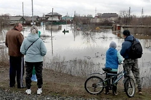 Паслер: Предварительный ущерб АПК Оренбуржья от паводка оценивается в ₽65 млн