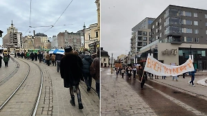 "Вернуться к нормальности": В Финляндии прошли митинги за открытие границы с Россией