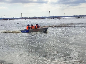 В одном из районов Курганской области ввели режим ЧС в связи с паводком