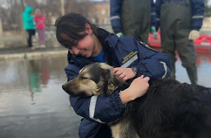 До темноты и в темноте: Как студенты-спасатели помогают жителям в зоне ЧС в Оренбуржье