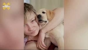 Отдала на воспитание, а получила мёртвым: Россиянка обвинила кинолога в доведении щенка до смерти