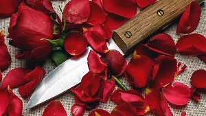 Убила кухонным ножом: Доярка расправилась с парнем, застав его в постели с любовницей