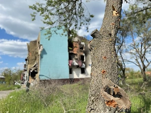 Один человек погиб, ещё один ранен при атаке БПЛА на село в Белгородской области