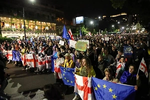 В Парламенте Грузии сообщили о задержании гражданина России в ходе протестов