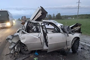 Девушка чудом выжила в жутком лобовом ДТП с фурой, момент попал на видео