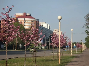 ВСУ ведут хаотичный артобстрел Энергодара, где находится ЗАЭС