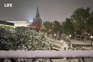 Замёл Красную площадь и окутал хлопьями цветы: Life.ru публикует фото накрывшего Москву майского снегопада 