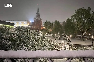 Life.ru публикует фото накрывшего Москву майского снегопада 