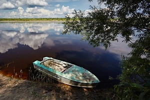 Два мальчика и один мужчина утонули в Курганской области