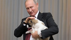 Не только пёсики: 10 фото животных, каких за всё время дарили Путину 