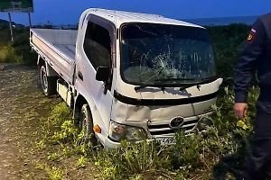 Пьяный водитель грузовика сбил четырёх девочек на Сахалине
