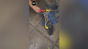 Молния, расплавившая детский велосипед в Москве, легко могла убить, предупредил эксперт