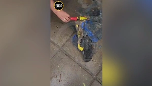 Велосипед расплавился