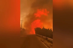 Один человек пострадал во время лесных пожаров на Кубани