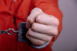  Полиция Гоа задержала пожилую россиянку и её сына за нарушение визового режима