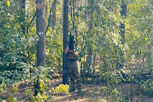 "По всему лесу кроют": Боец Карп рассказал, как антидроновый отряд "Ахмата" приземляет "птички" ВСУ