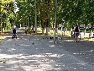 В Курской области развеяли фейк о присутствии ВСУ в слободе Белой