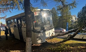 В Ульяновске МАЗ влетел в автобус, среди пострадавших есть дети