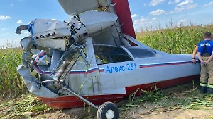 Уголовное дело возбуждено после крушения самолёта в Подмосковье