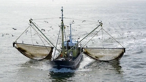 В СФ назвали запрет на вылов рыбы в Баренцевом море для Британии "давно назревшей мерой"