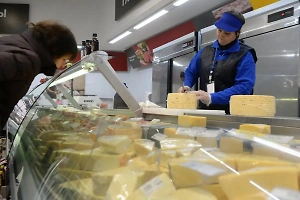 Цены на сыр в России за год почти не выросли, рассказали в Минсельхозе