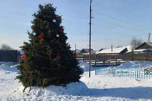 "Собирала слёзы и горе": "Кладбищенская" новогодняя ёлка возмутила жителей села в Бурятии